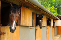 free Witherslack stable construction quotes